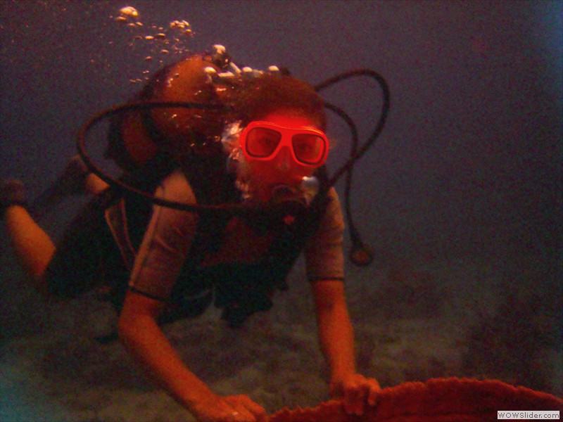 Diving 1