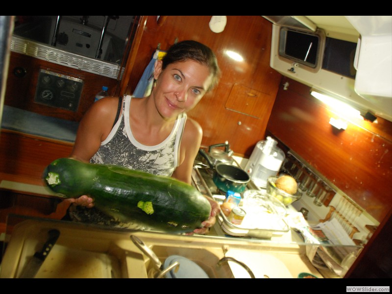 Maxi Courgette