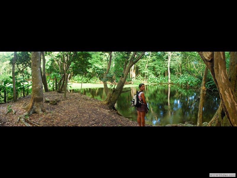 Trace de Terre de Bas