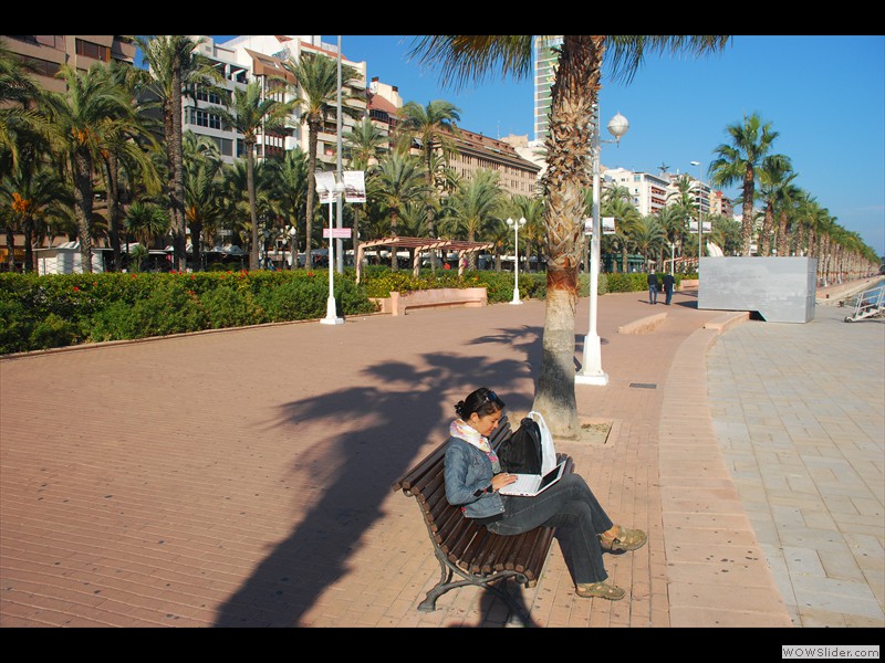 Alicante 2