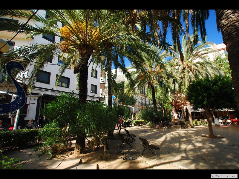 Ibiza 6