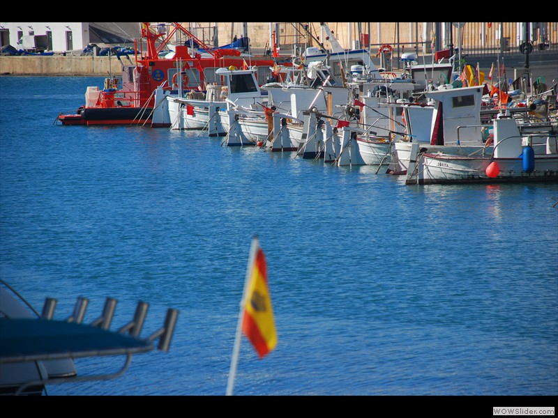Pêcheurs en ligne