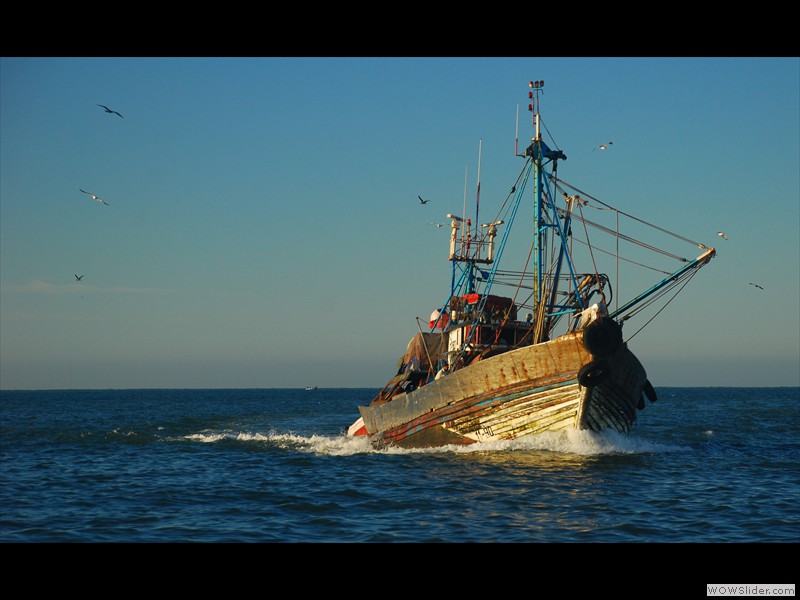Retour de pêche
