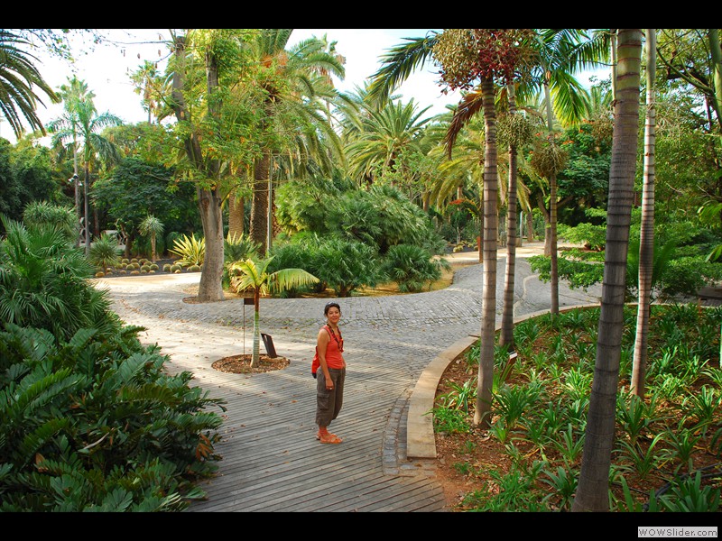 Parc à Santa Cruz