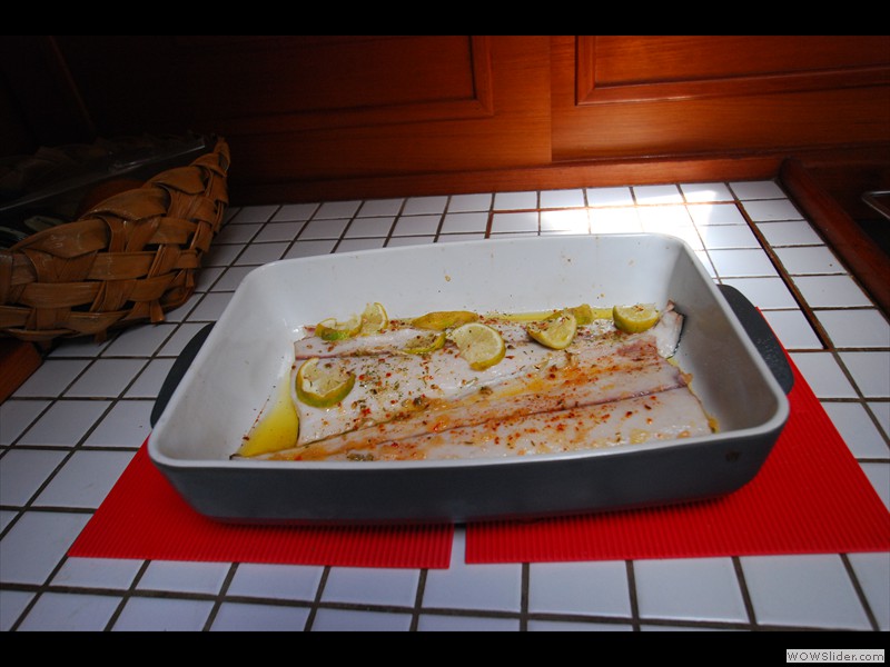 Toujours la dorade
